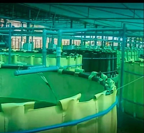 RAS Fish Farming Tanks